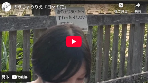 のうじょうりえ